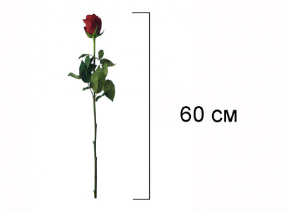 Комплексная услуга по возложению цветов (роза красная)